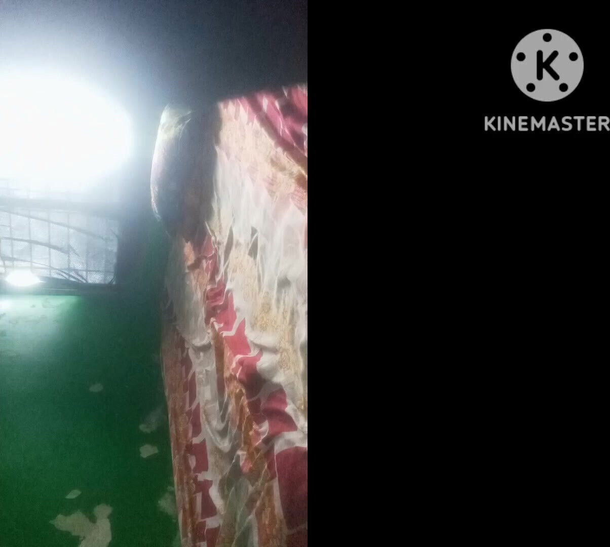 Real Stepsister Indian