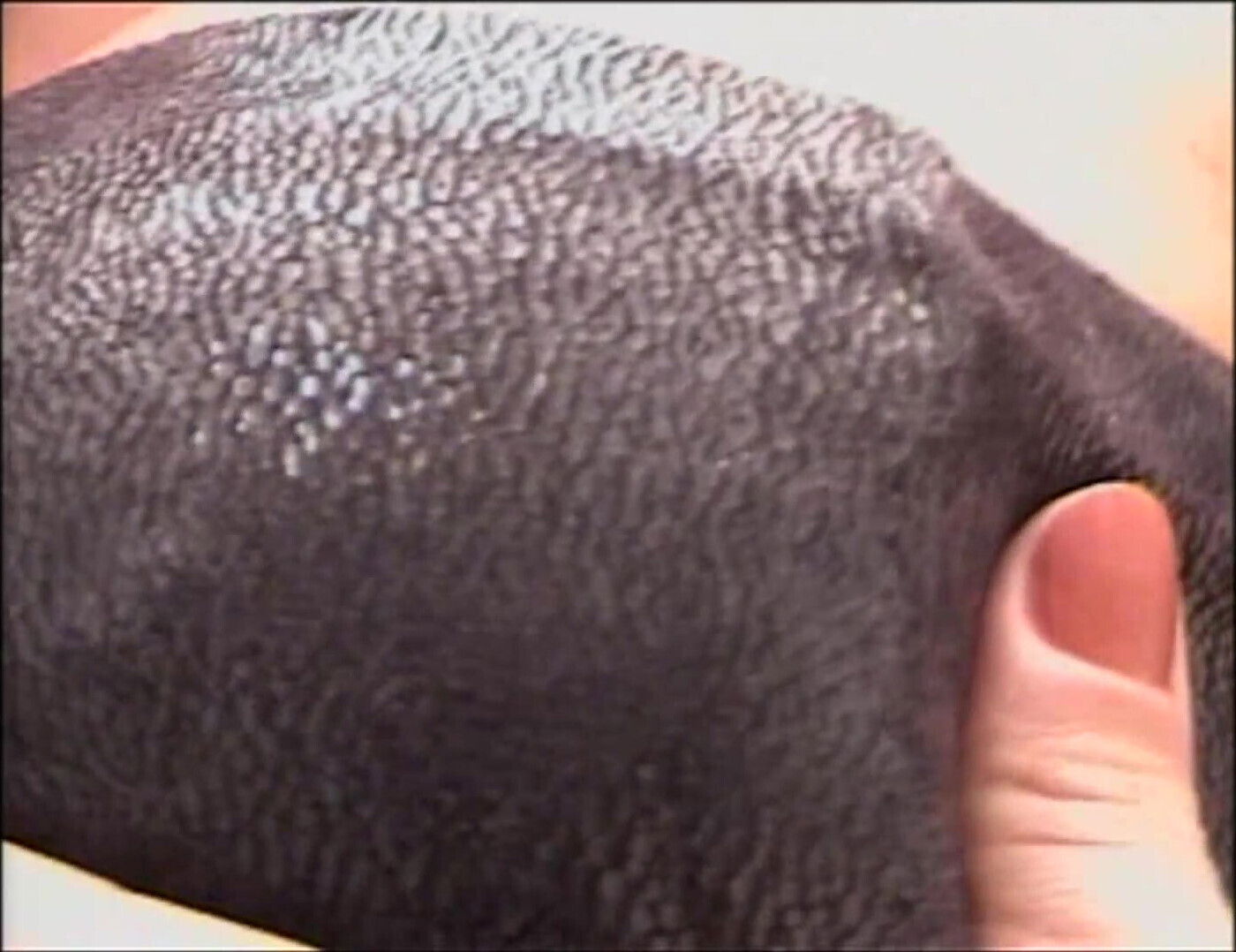 Blonde Shemale Boobs Hard Rough Asshole Fuck