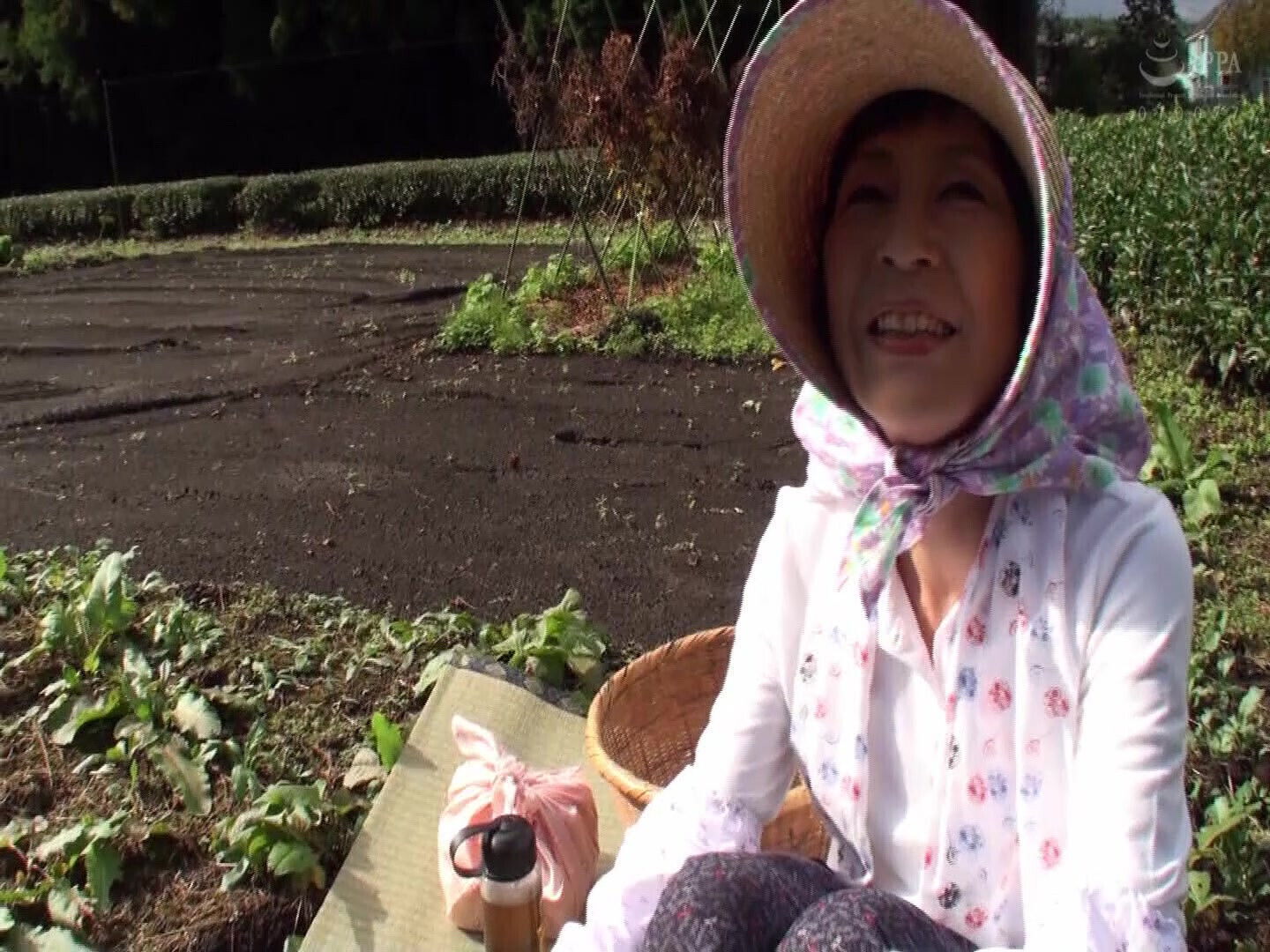 Mature Woman Runs Plantation Shizuoka, Decides Appear Years