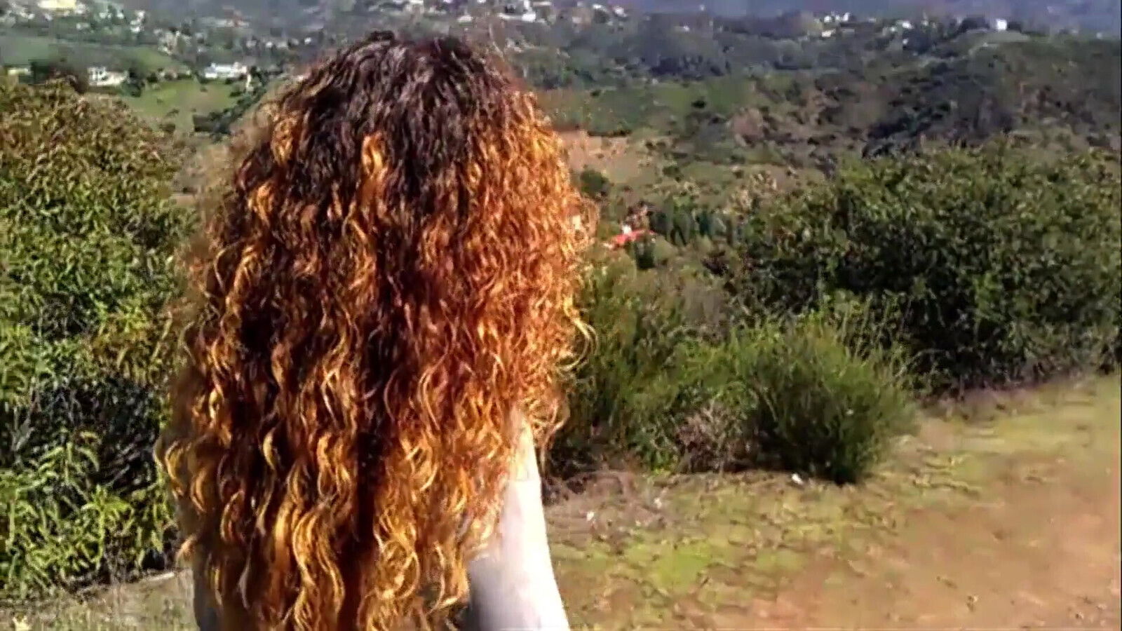 Sucking Black Bushes