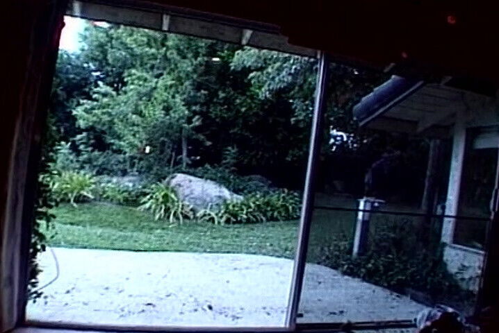 threesome with stunning French sluts