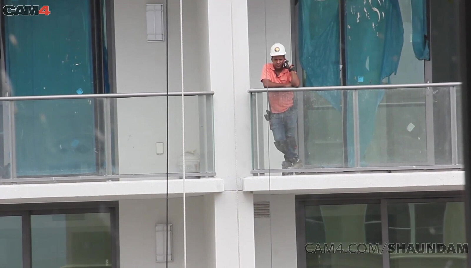 horny sucking session with brunette beauty