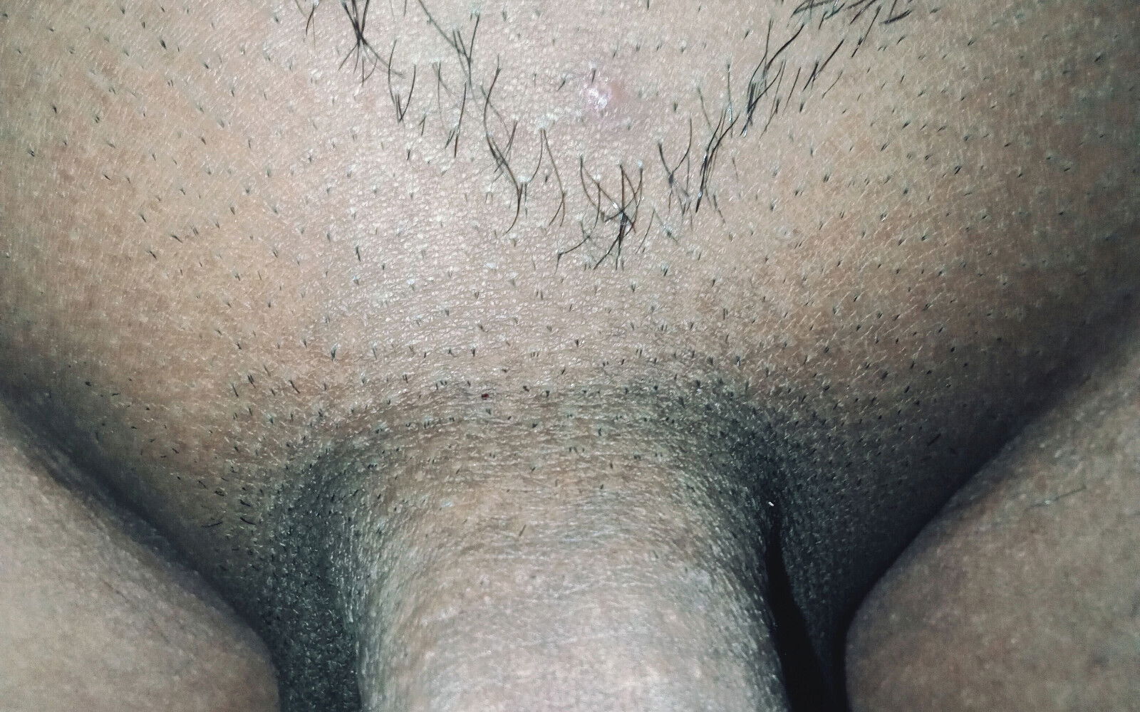 Like Sex? Ready You.