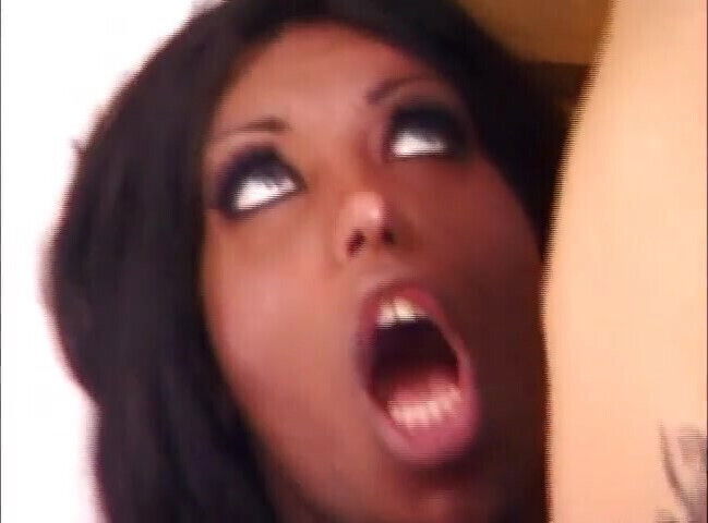 white trouble back with black shemale