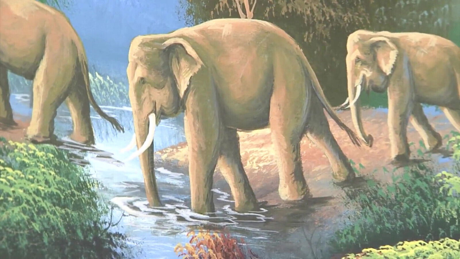 Lovely teen fucked sprayed with load black