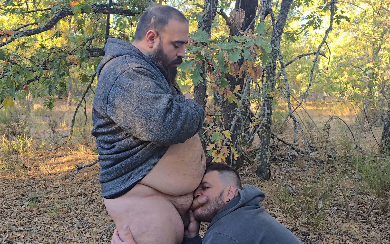 Bears Suck Each Other's Cocks Forest