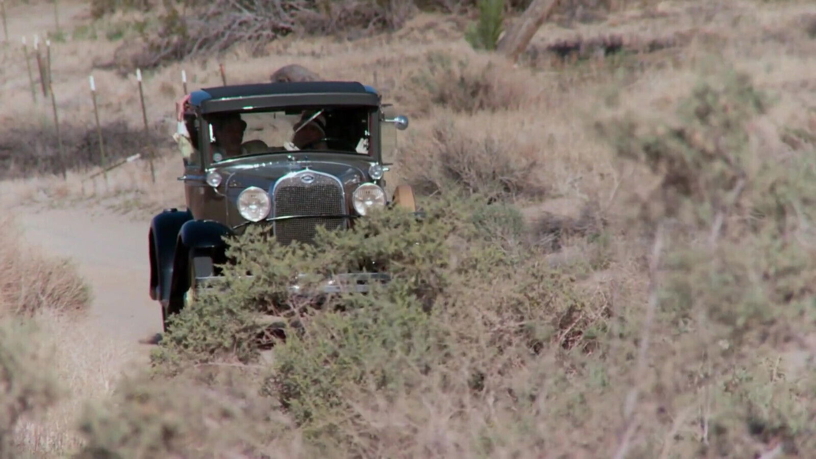 Attractive ladies boned orgy