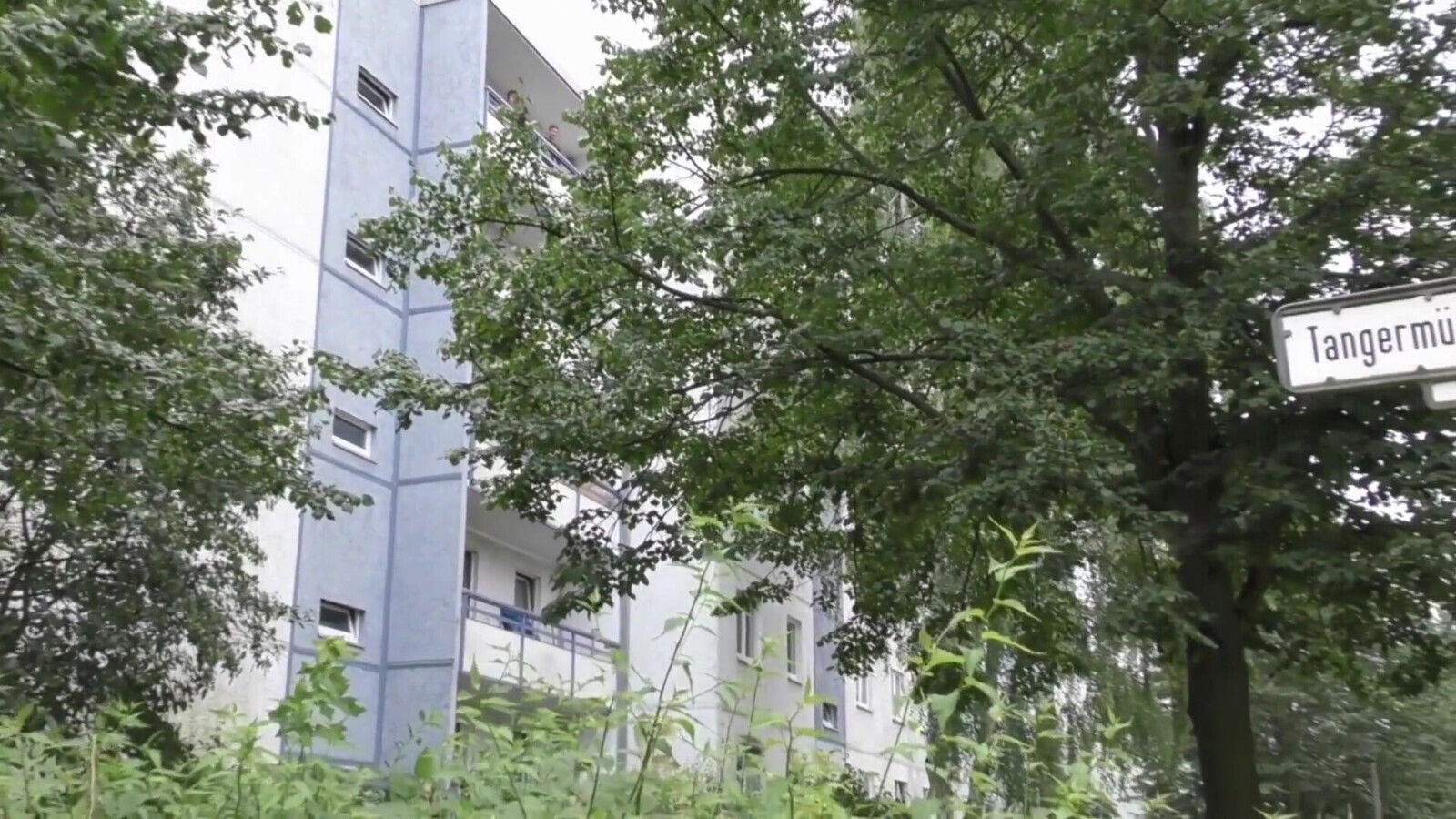 Sexy brunette fucked pussy