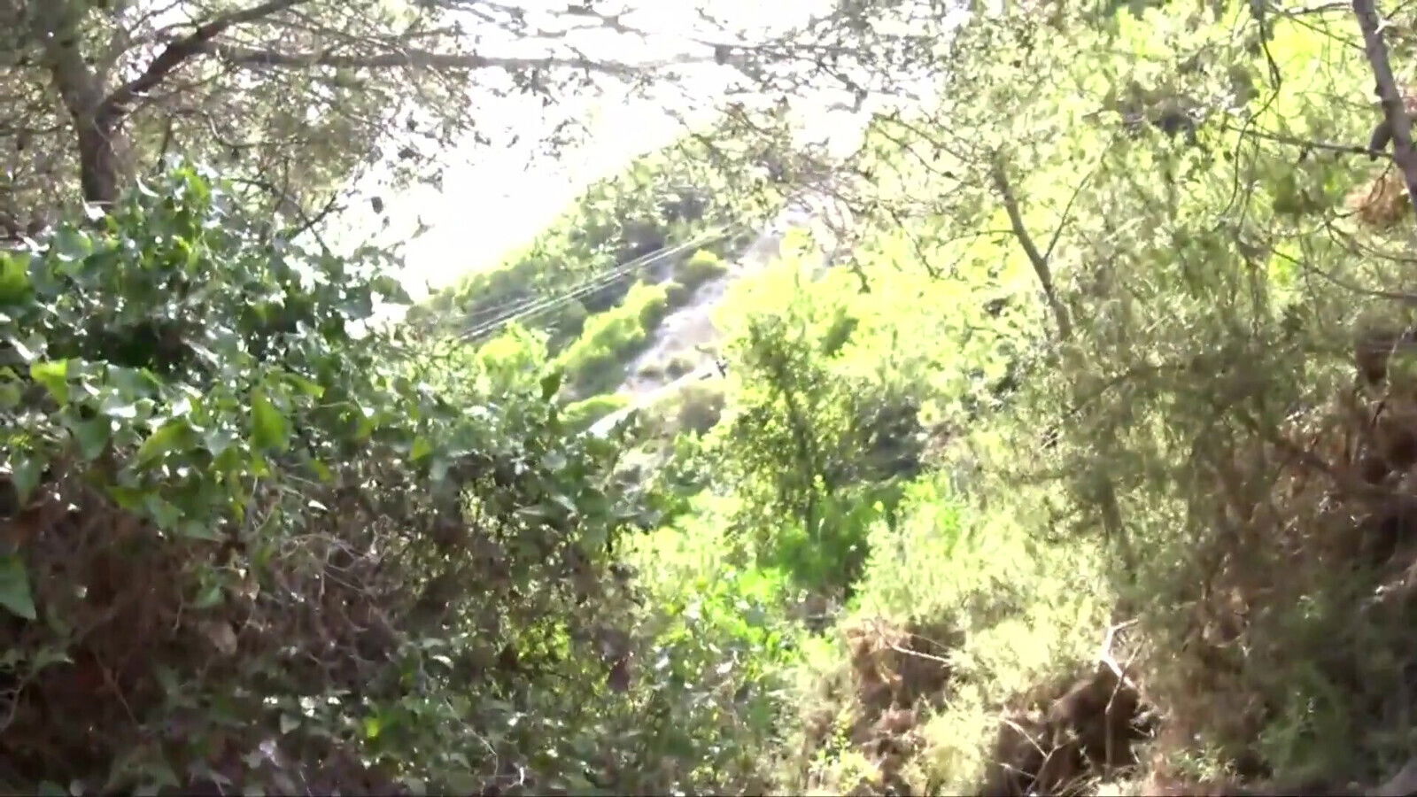 Stunning naked blonde wildly fucked woods