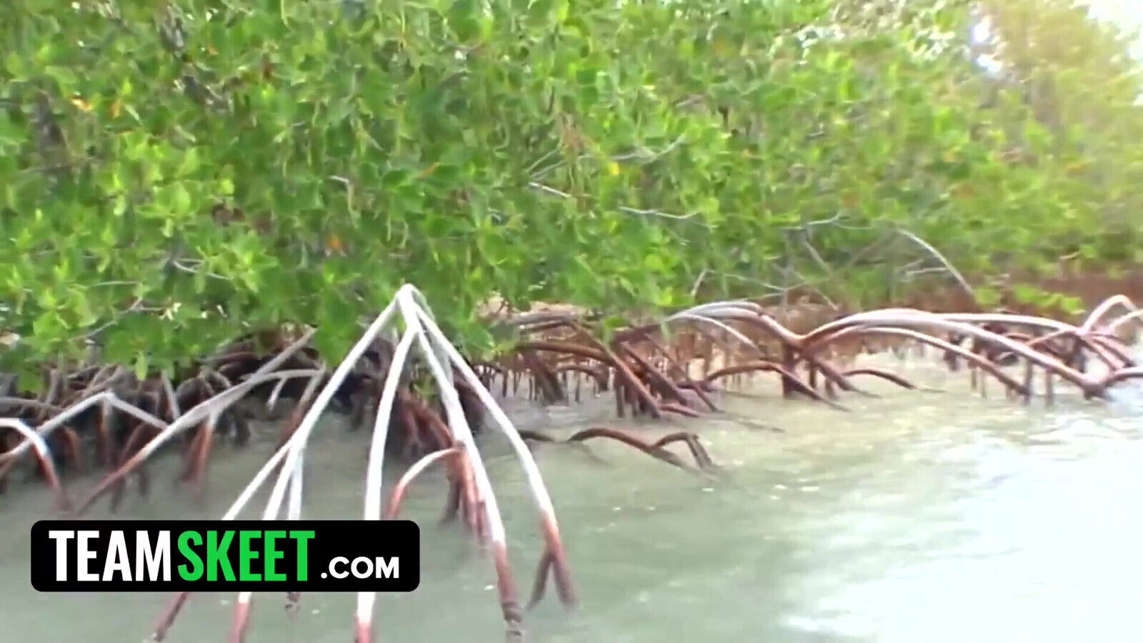 This Girl Sucks Horny teen sucks outdoor gets massive face