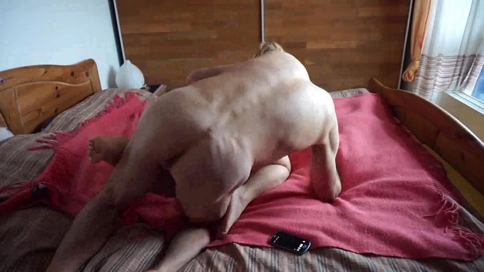 Selena's Lovely Games