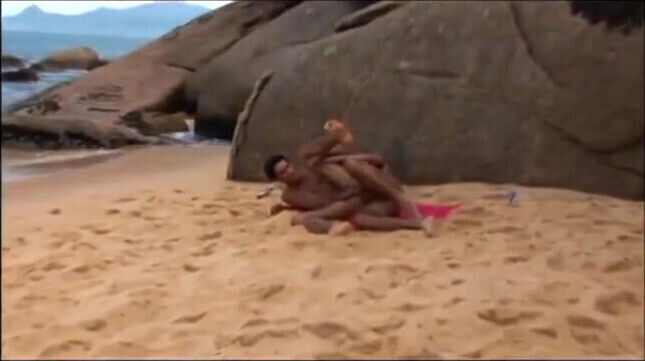 doggy-style beach under