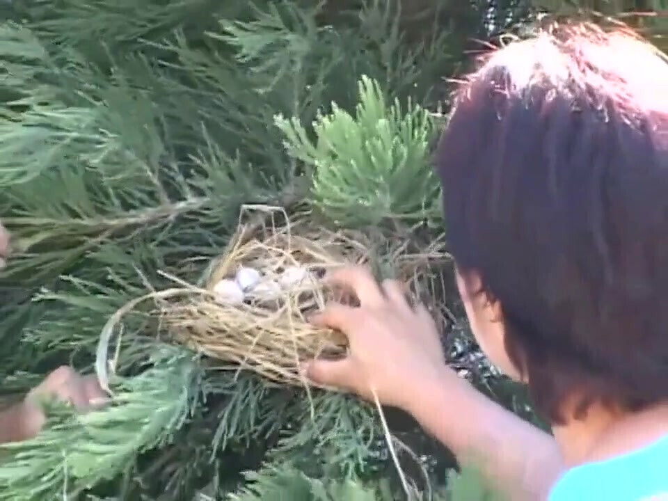 Hairy pussy milf garden