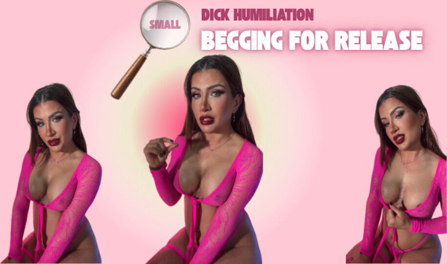Small Dick Humiliation: Begging Release