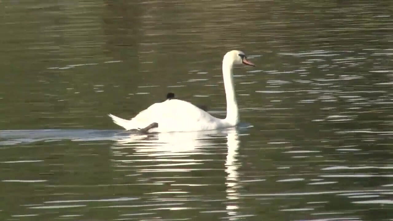 Blonde fetish girl screwed guys