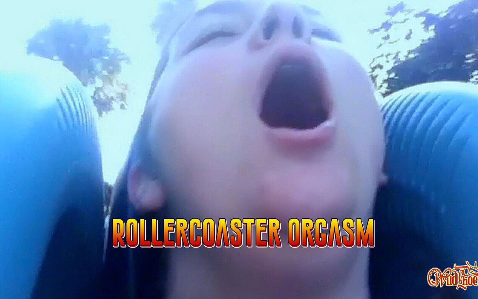 Rollercoaster Orgasm: Secret Vibe Ride Theme Park