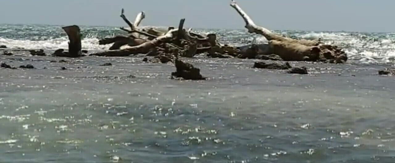 Doctor Caribbean: story white sluts black cocks