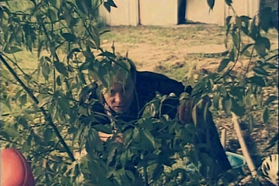 Vintage Porn MILF with Hairy Pussy Playing with Dildo