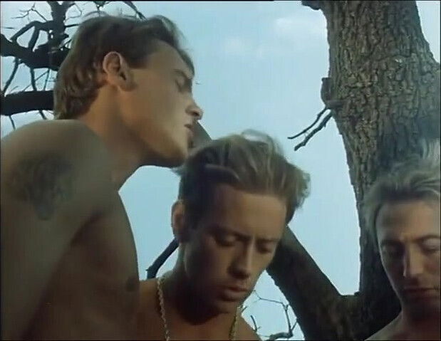 Outdoor orgy with fucking