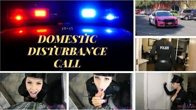 Domestic Disturbance Call