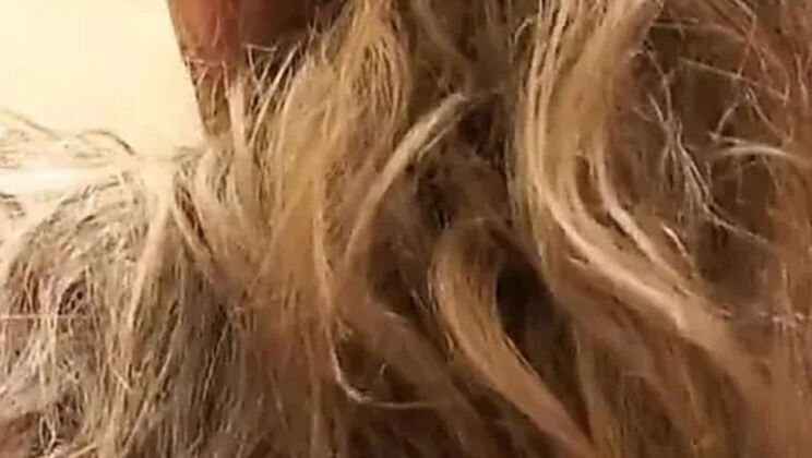 Hairy MILFS Orgy Stockings Homemade Gangbang with Facials