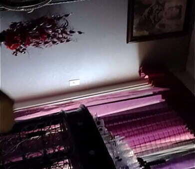 Sophie Smooth Stokes 20251115 010502970