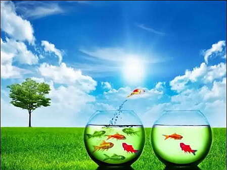 Secret Quartet Spend today