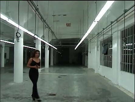 Aurora'_s Last (Volume Scene