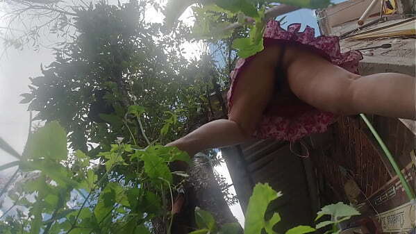esposa campesina nalgona ense&ntilde_a cu&ntilde_ado flojo como podar arbol fruta, cu&ntilde_ado graba bragas ella cuenta
