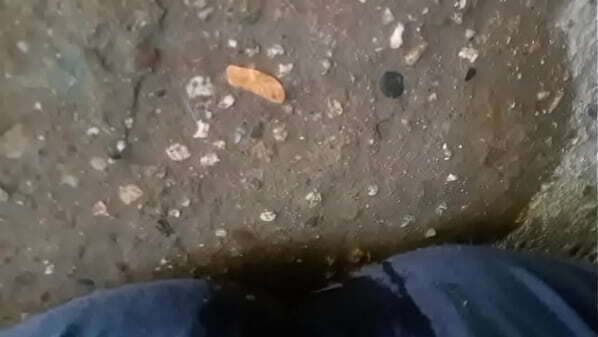 Pantalones orinados rico pajazo