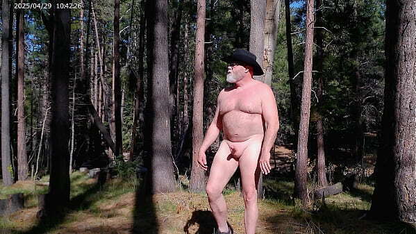 Simscristian05 update #176 WALKING NAKED CREEK SHEER