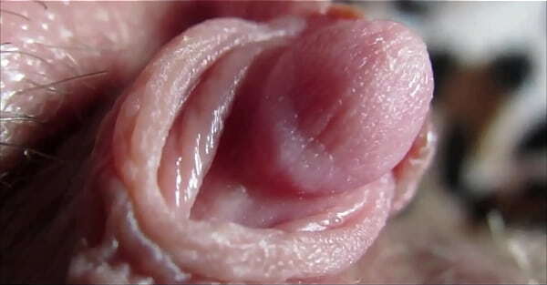 clit orgasm closeup