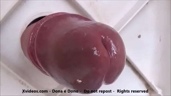 verdadeiro morango amor