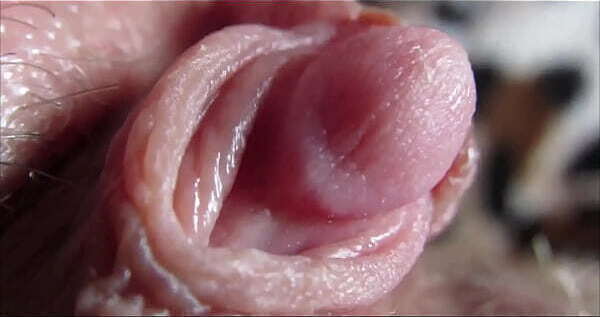 clit orgasm closeup