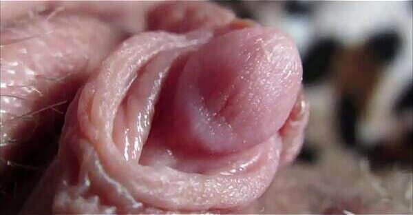 clit orgasm closeup