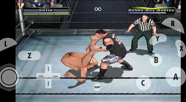 used dudley hold sofia