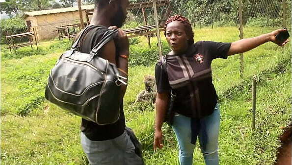 These tourists crossing paths park could discover unexplored places memorable moments together.