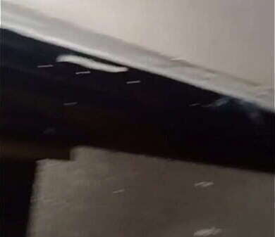 vecino solprende ba&ntilde_o invito conpa&ntilde_arme