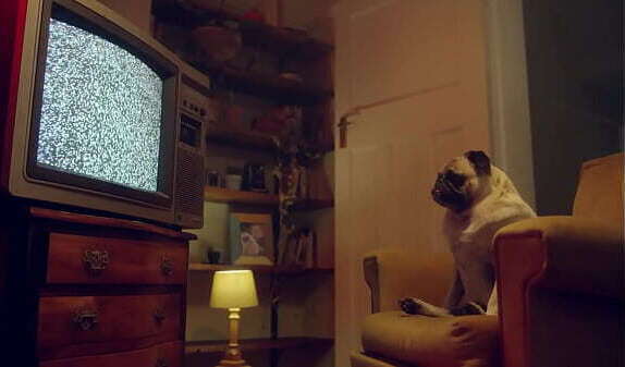 BENEFIT MONKEY: Mutual masturbation with blonde Douxxx