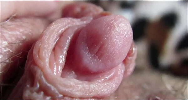 clit orgasm closeup