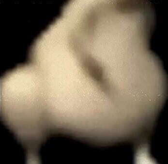 pinche pollo caminando bien chido canci&oacute_n Mario Bros