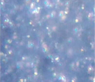 nadadores microscopio