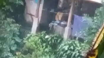 Espiando vecina Guatemala