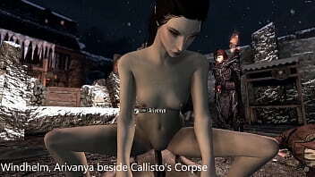 Skyrim Sexlab HPNPCO Windhelm Part