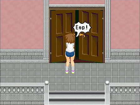 Alternate DiMansion Diary Walkthrough (True End)