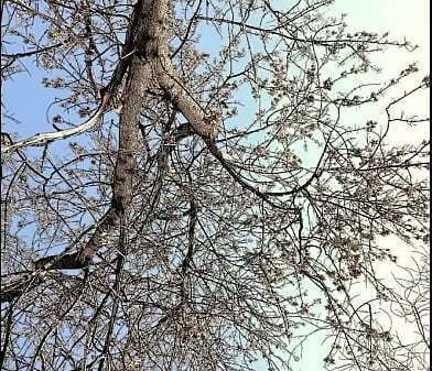 6bowboi warm weather comin, still cold