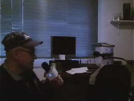 Erwin Leeuwerink Who'_s Girl (Cover From Madonna Productions Inc. Ltd.)