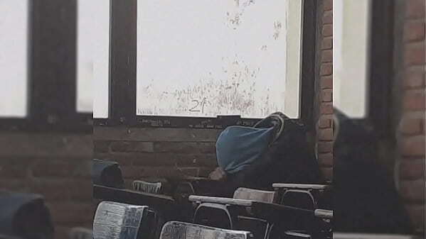 Skorpion-cuatroveinte