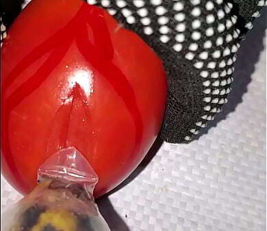 Head Tomato analyzed Banana