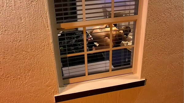 Spying with drone neighbor watching porn with fuck machine